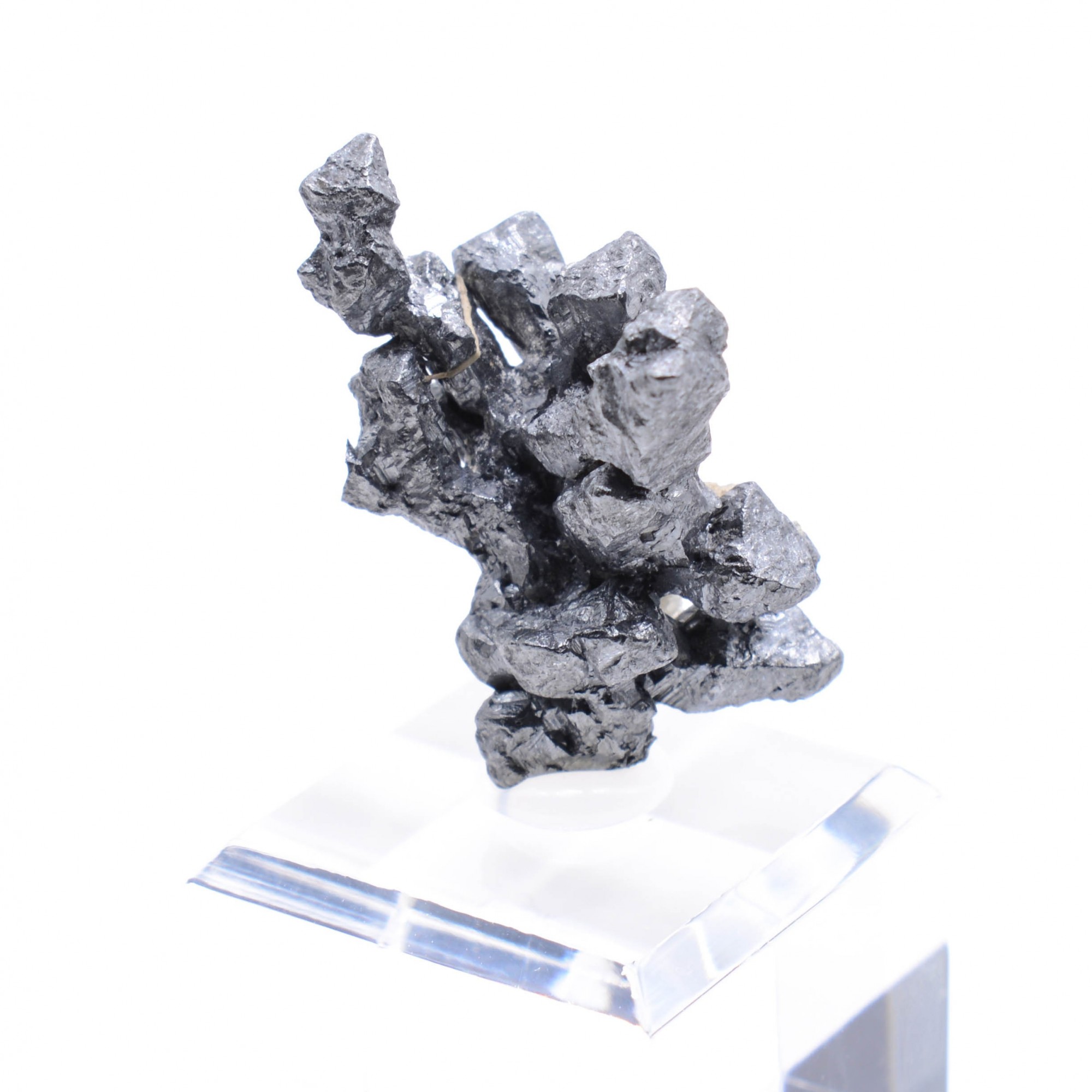 Acanthite - Mine Imiter, Région de Drâa-Tafilalet, Maroc