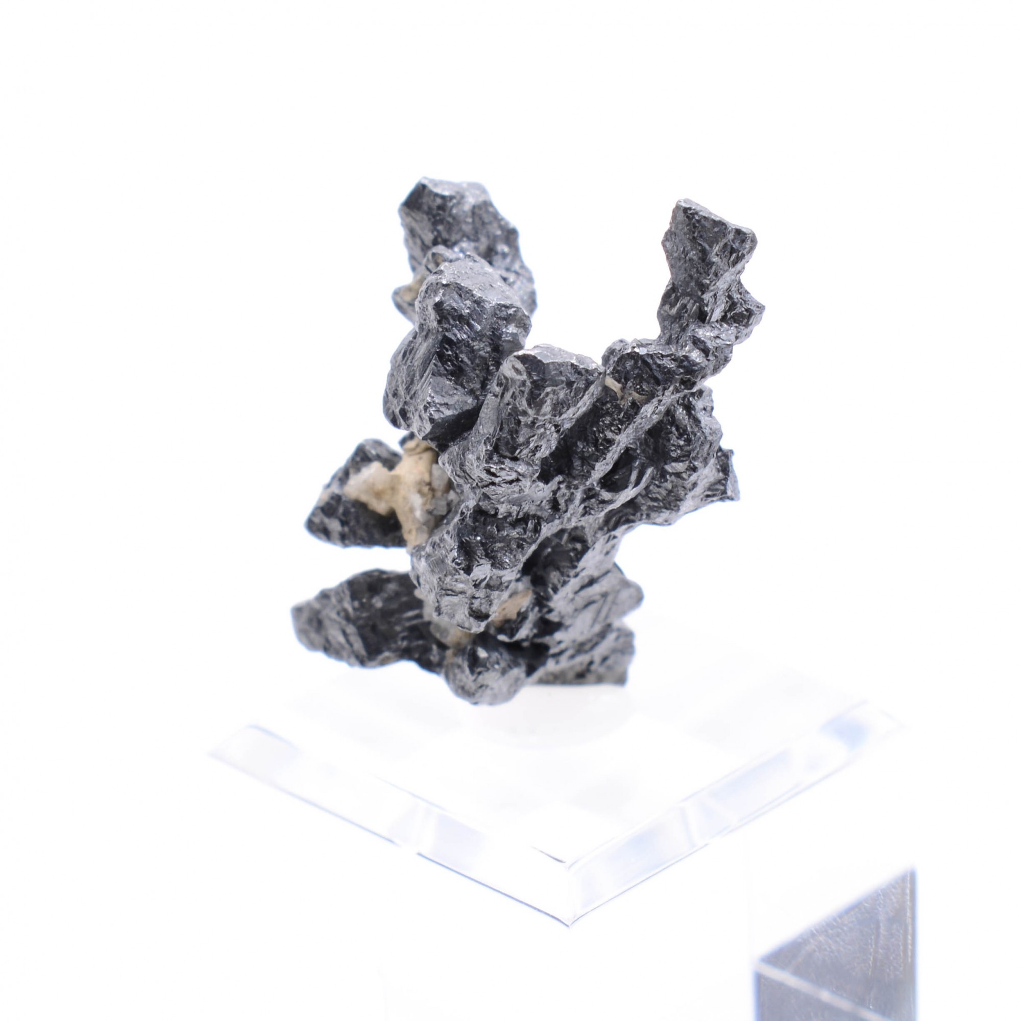 Acanthite - Imiter mine, Drâa-Tafilalet region, Morocco