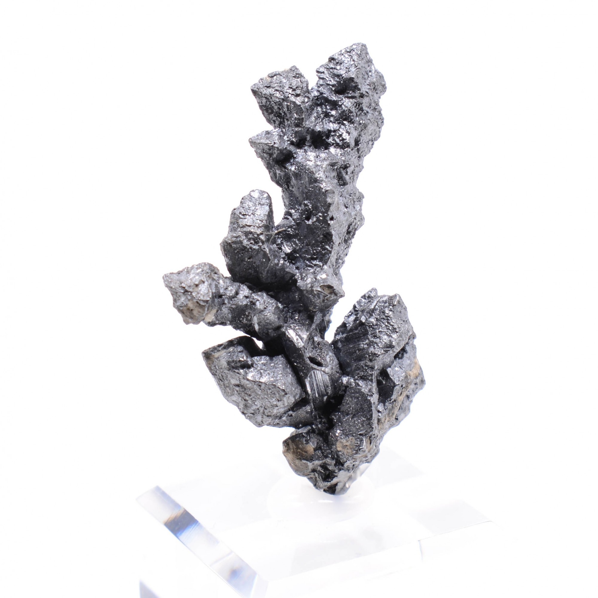 Acanthite - Mine Imiter, Région de Drâa-Tafilalet, Maroc