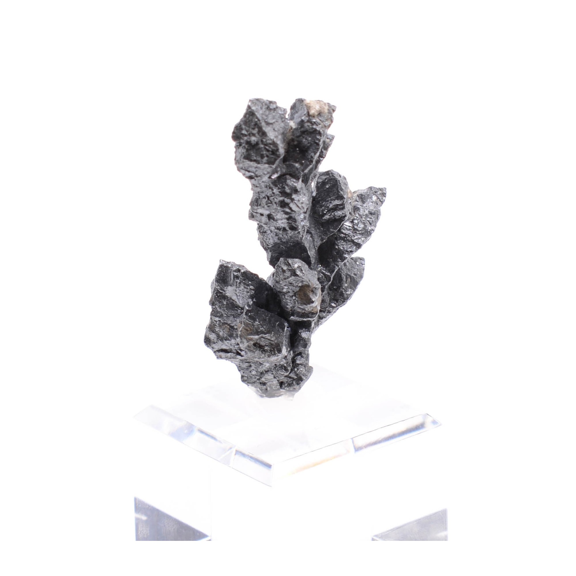 Acanthite - Imiter mine, Drâa-Tafilalet region, Morocco