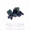 Azurite et malachite - Kerrouchen, Maroc