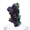 Azurite and malachite - Touissit, Morocco