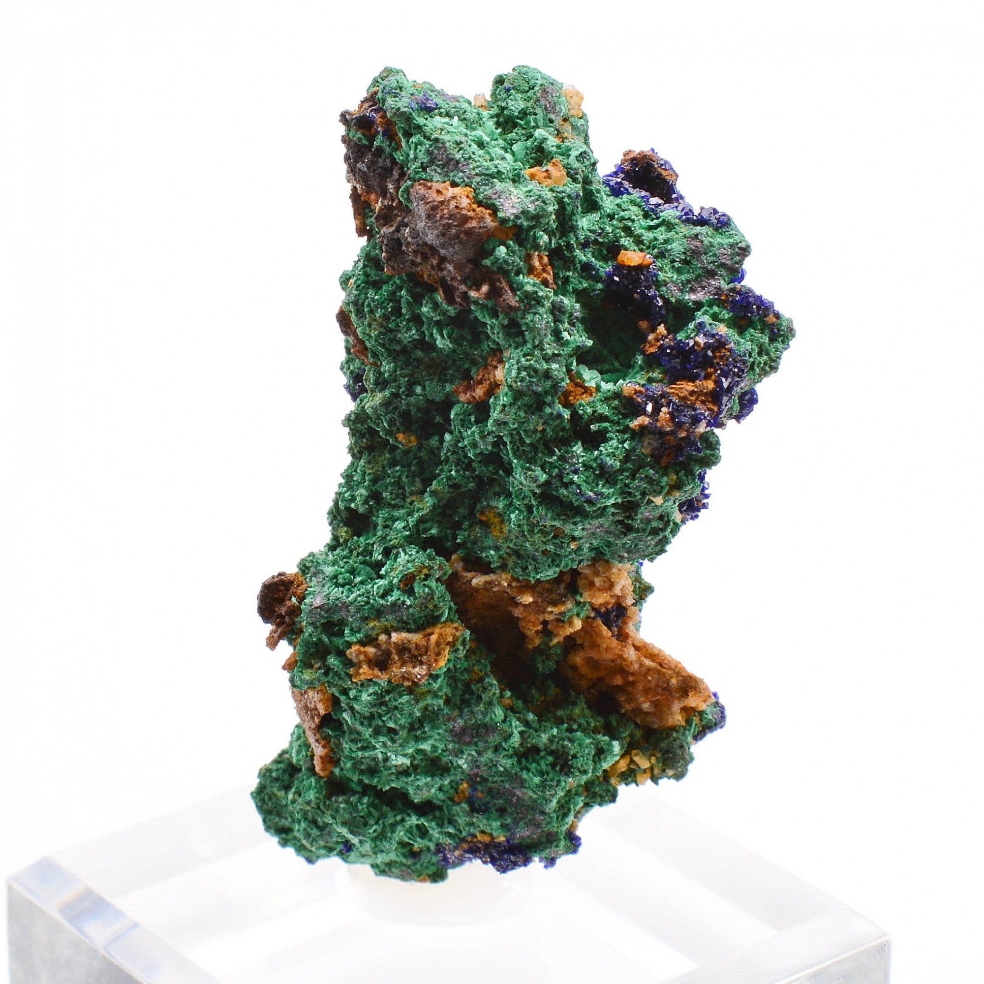 Azurite and malachite - Touissit, Morocco