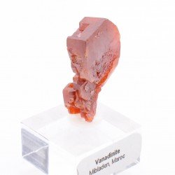 Cristaux d'un rouge vif et très brillants.1,9 x 1,5 x 0,9 cm.