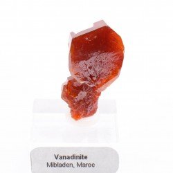 Cristaux d'un rouge vif et très brillants.1,9 x 1,5 x 0,9 cm.