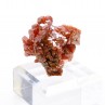 Vanadinite - Mibladen, Maroc