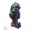 Azurite and malachite - Touissit, Morocco