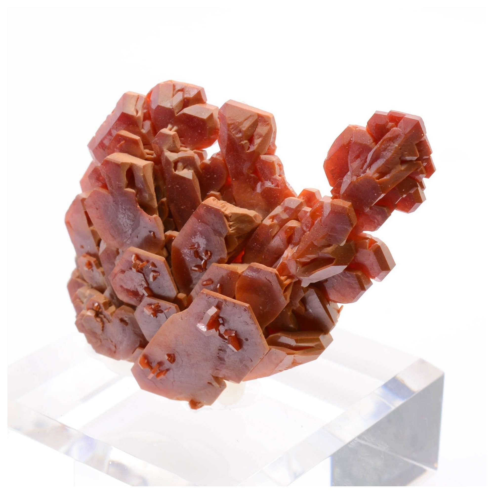 Vanadinite - Koudia 1, Midelt region, Morocco