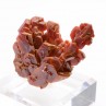 Vanadinite - Koudia 1, région de Midelt, Maroc