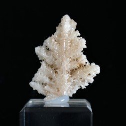 Cérusite réticulée - Mfouati, RD Congo