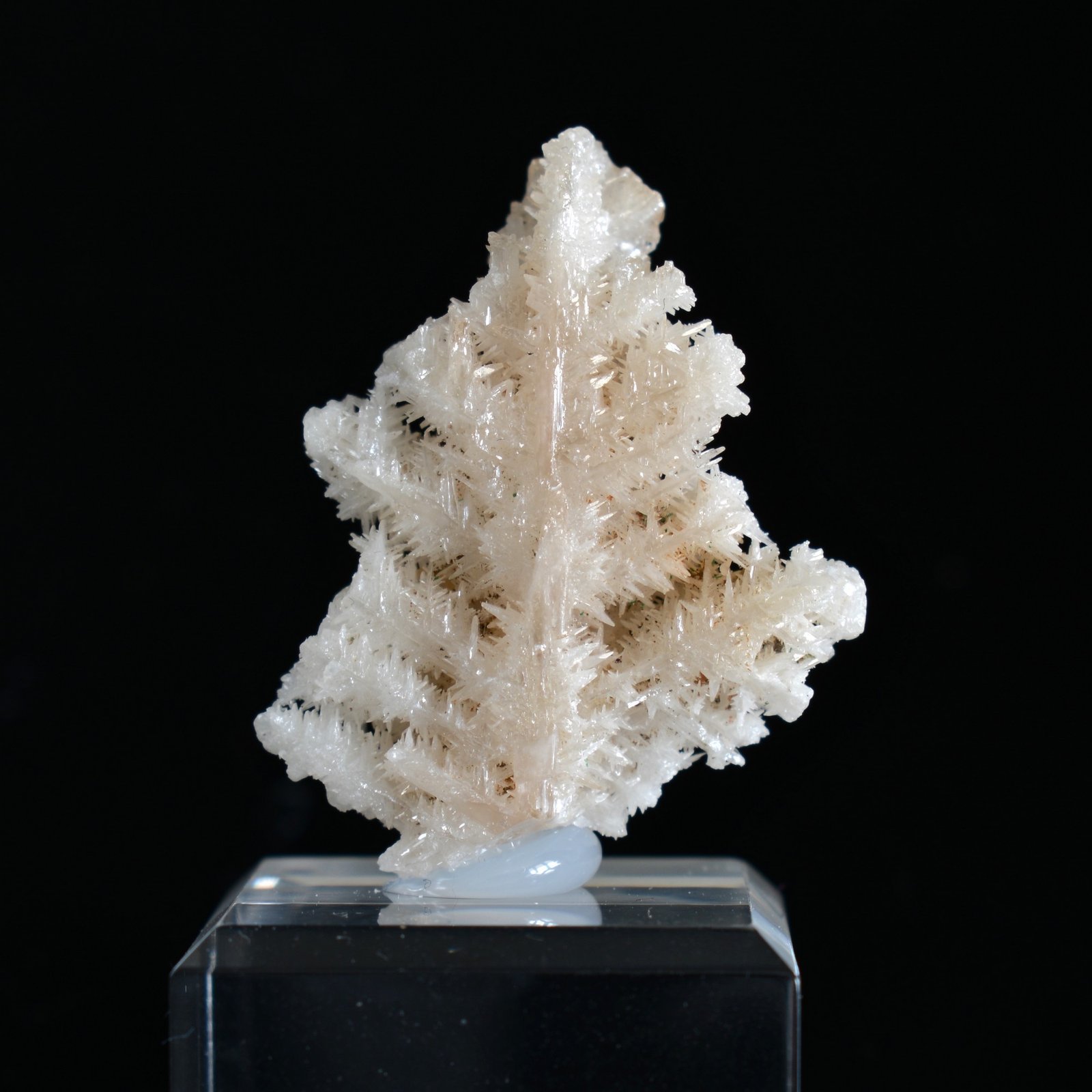 Cérusite réticulée - Mfouati, RD Congo Cérusite réticulée - Mfouati, RD Congo