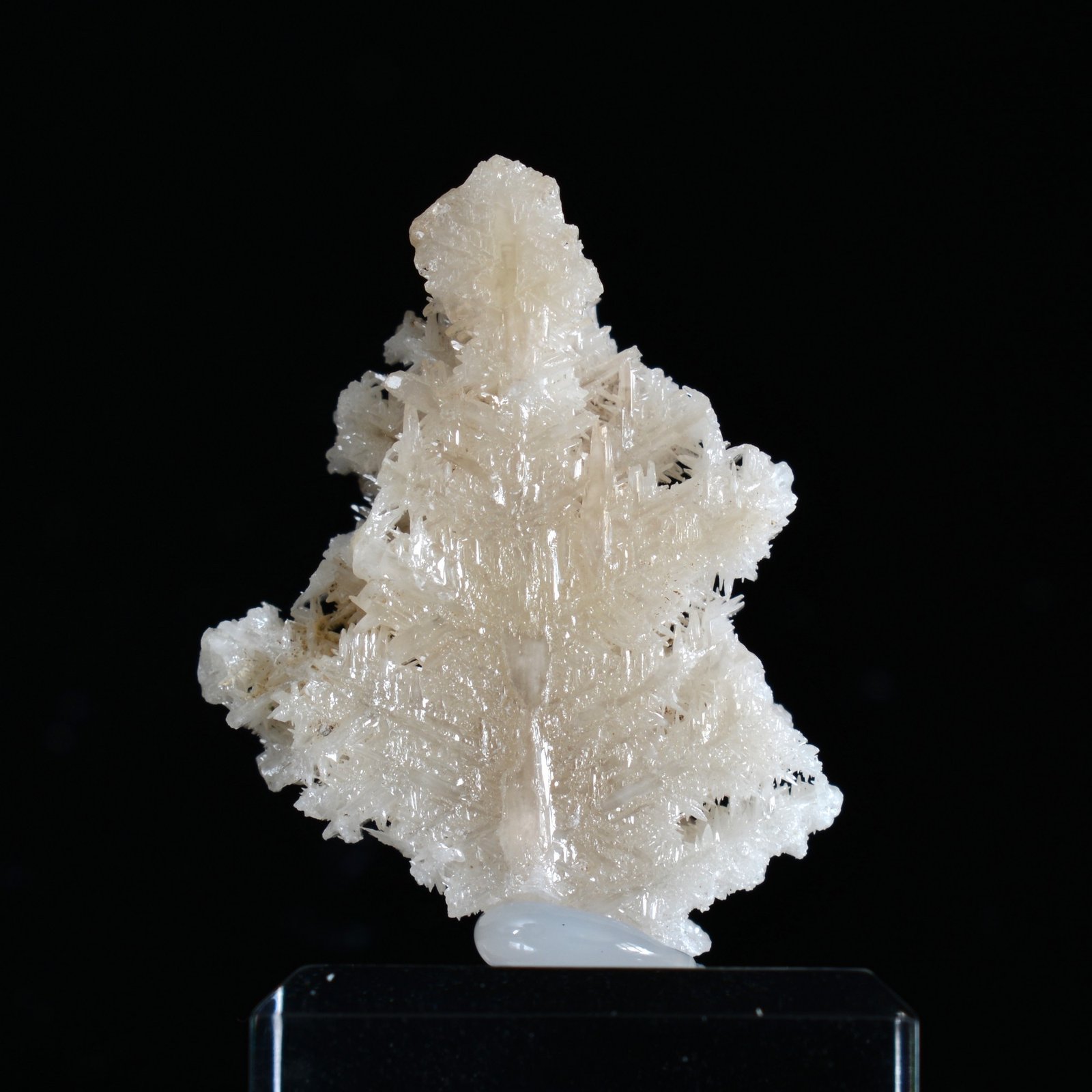 Reticulated cerussite - Mfouati, DR Congo