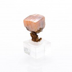 Wulfénite - Los Lamentos, Mexique