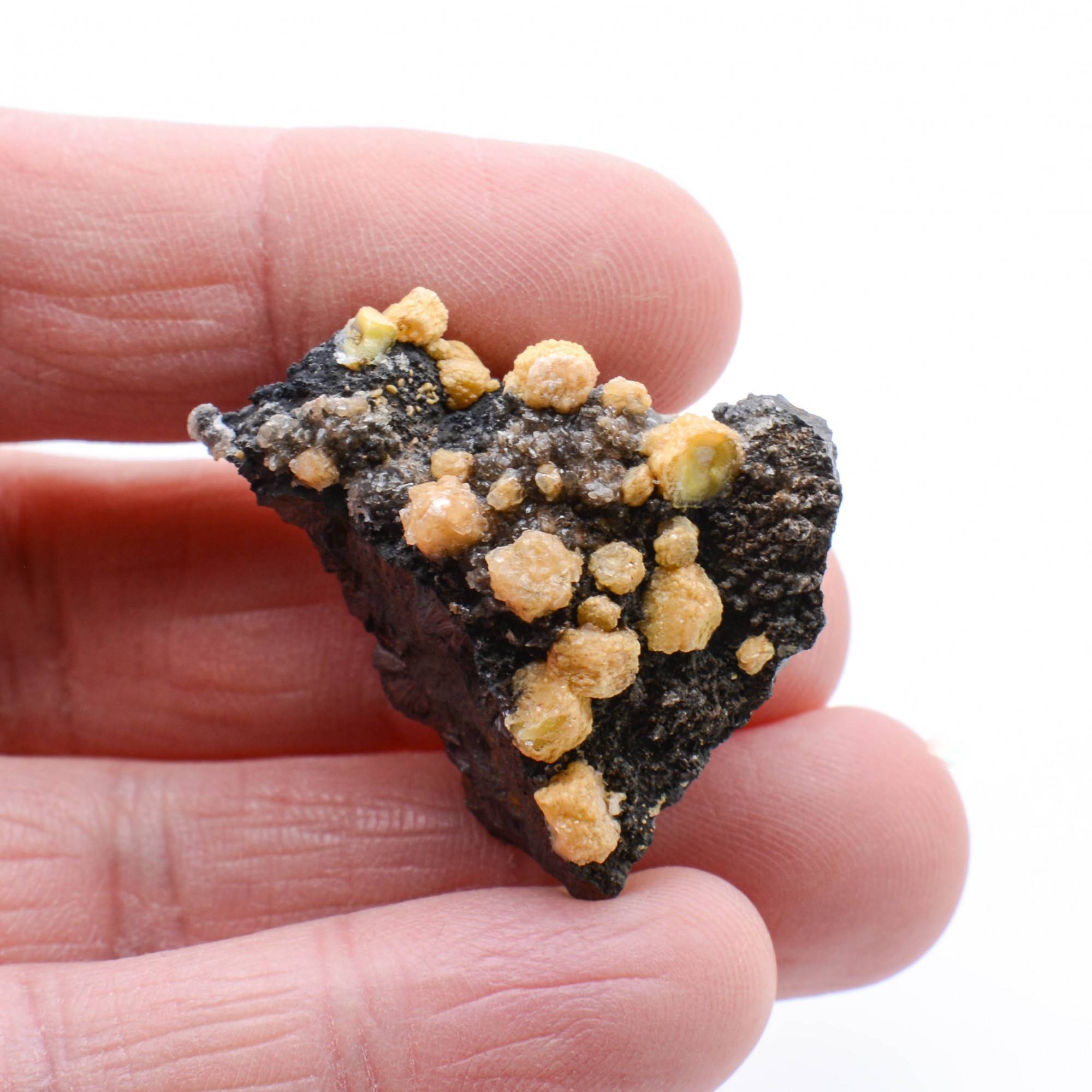 Vanadinite - yellow phosphohedyphane on goethite - Taouz, Morocco