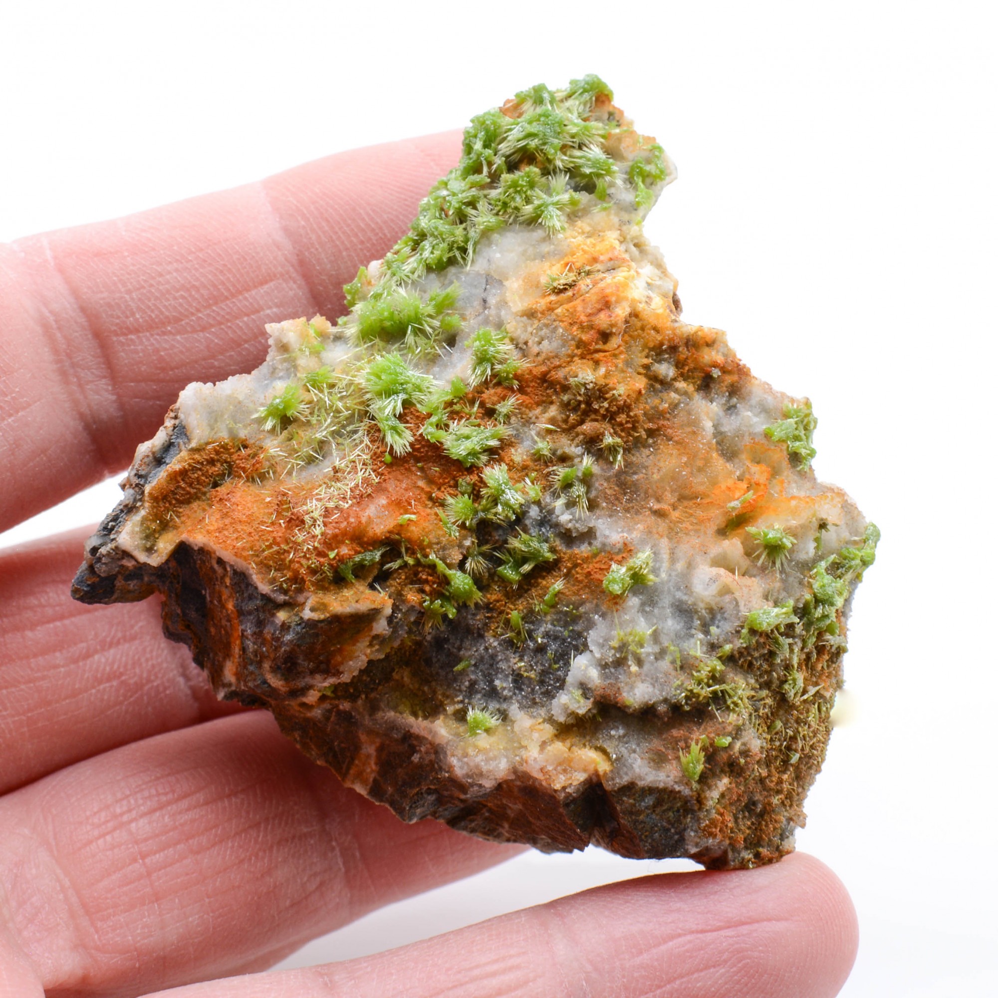 Pyrormorphite - Saint-Salvy-de-la-Balme, Tarn, France