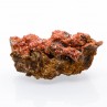 Wulfenite - Jianshan mine, Xinjiang region, China