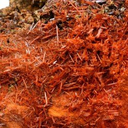 Crocoite - Red Lead mine, Tasmania, Australia