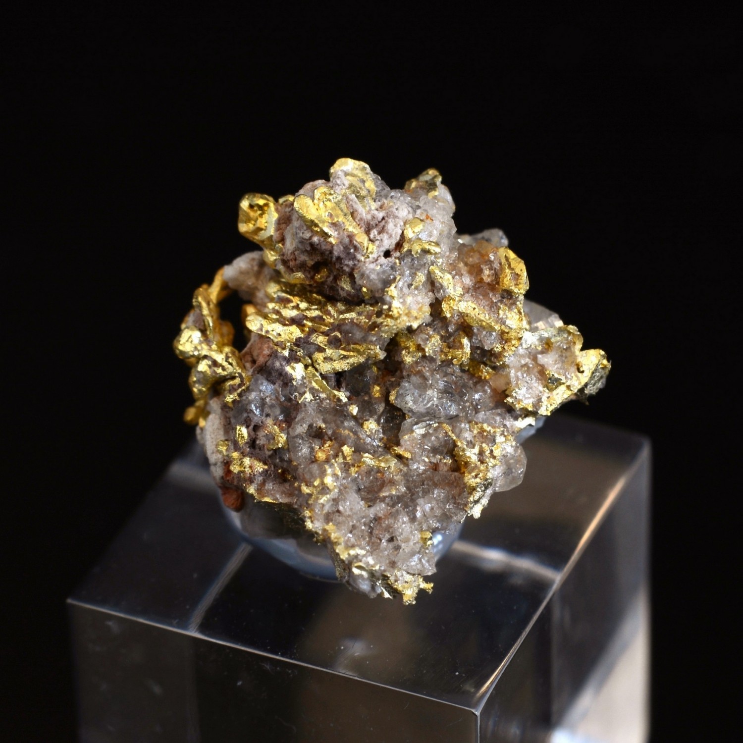 Gold and quartz - Hennebont area, Morbihan, France