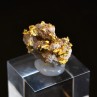 Or natif cristallisé et quartz - Environs d'Hennebont, Morbihan, France