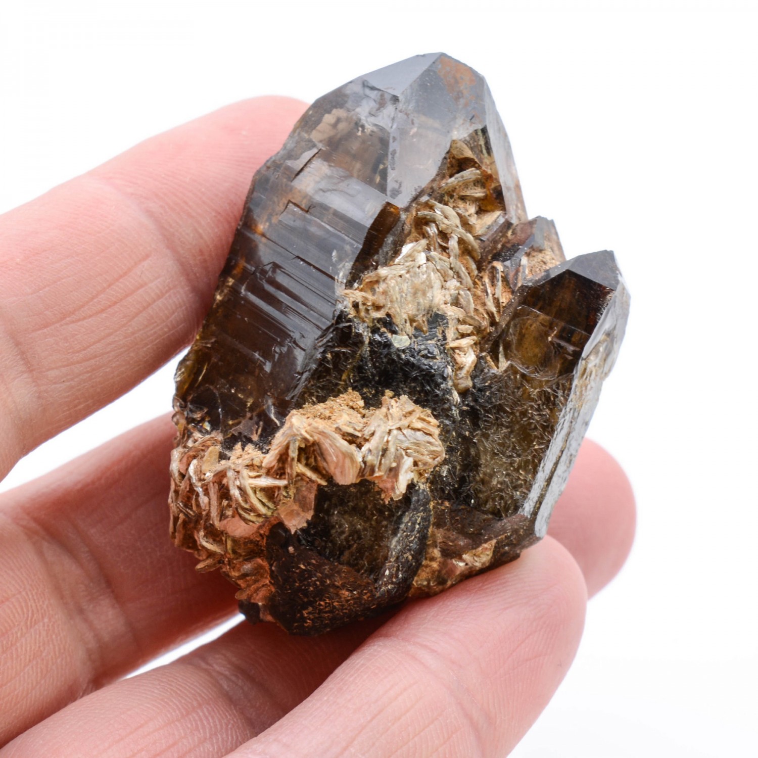 Quartz and muscovite - Horní Bory, Zdar nad Sazavou district, Vysočina region, Czech Republic