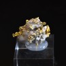 Gold and quartz - Hennebont area, Morbihan, France
