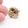 Gold and quartz - Hennebont area, Morbihan, France