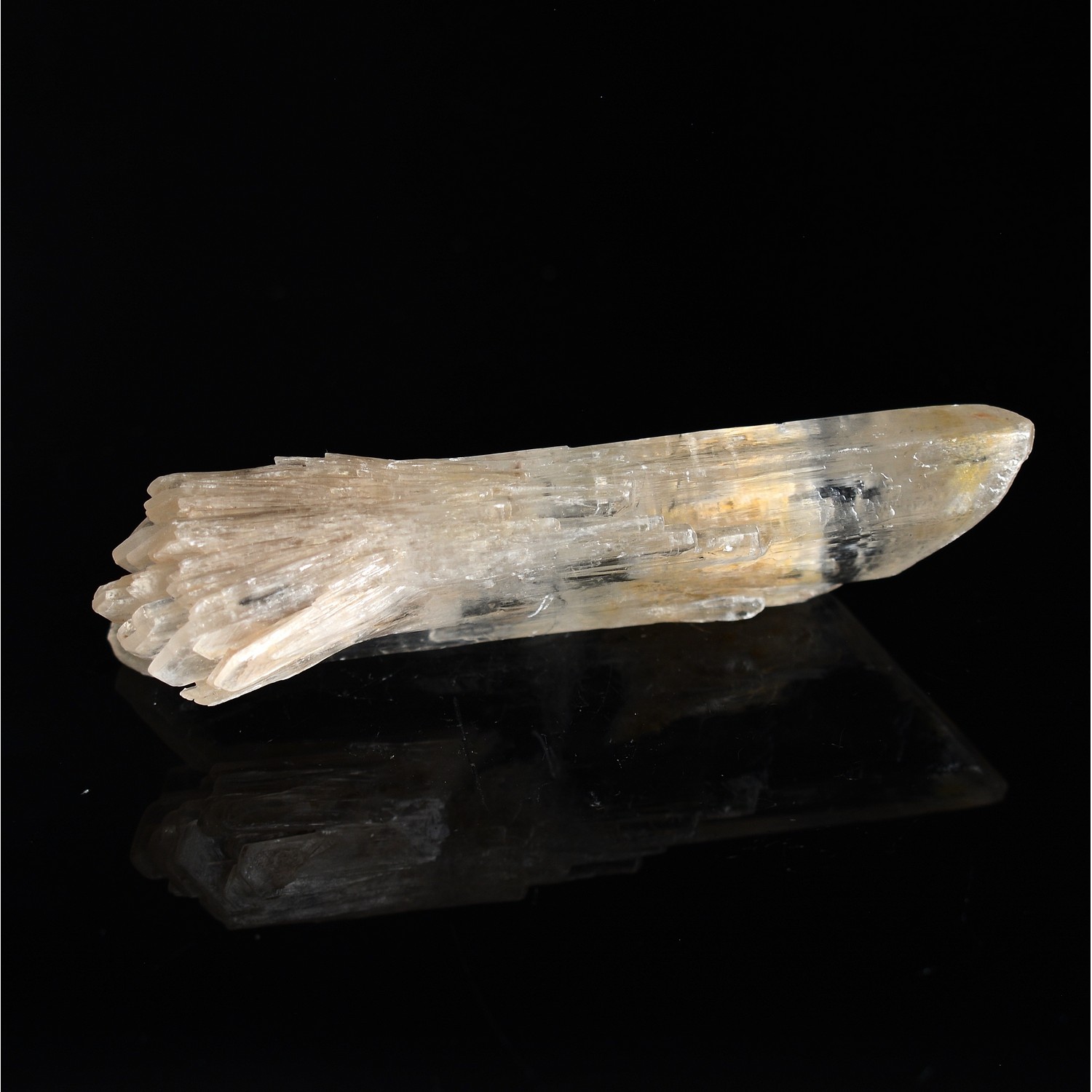 Gypsum - Angervilliers, Essonne, France