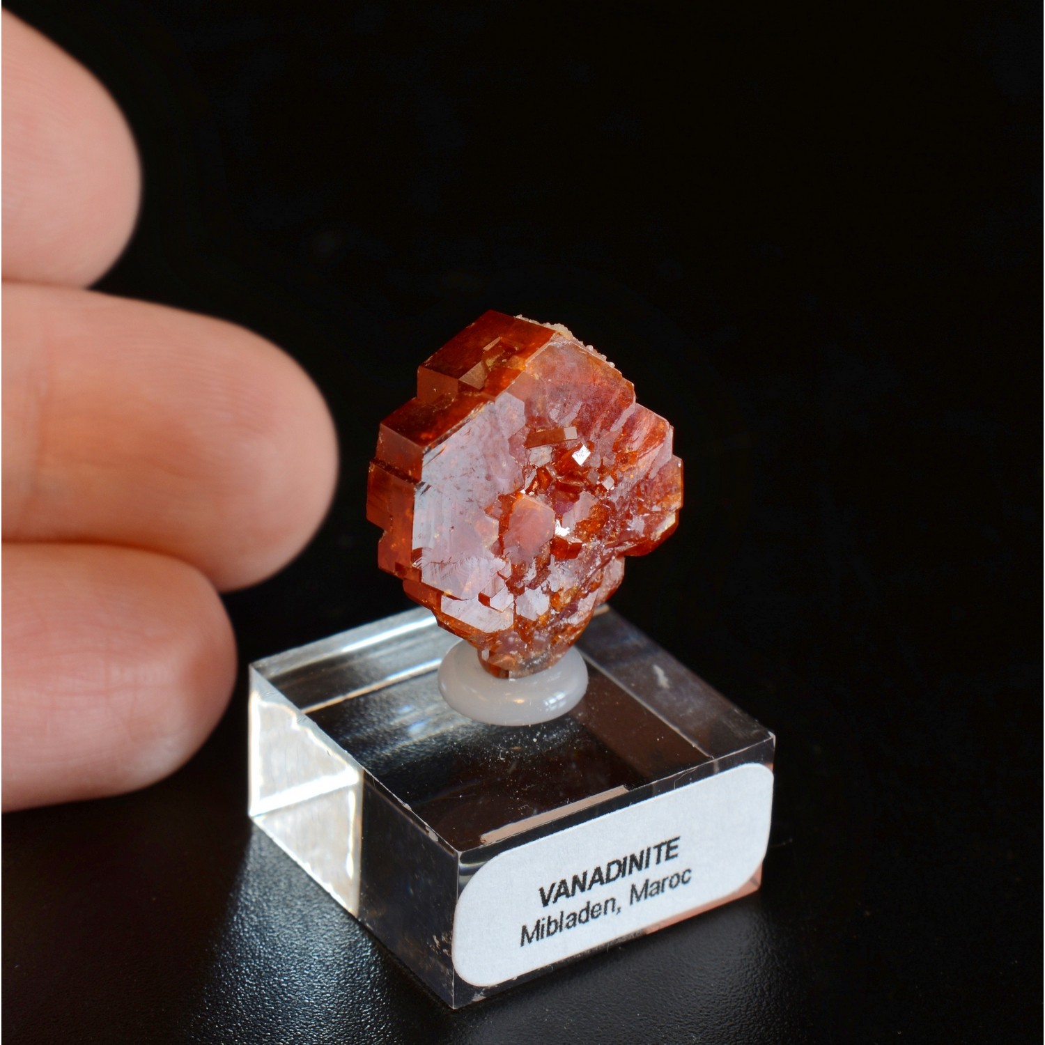 Vanadinite - District minier de Mibladen, Maroc