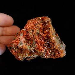 Crocoïte - Mine Red Lead, Tasmanie, Australie