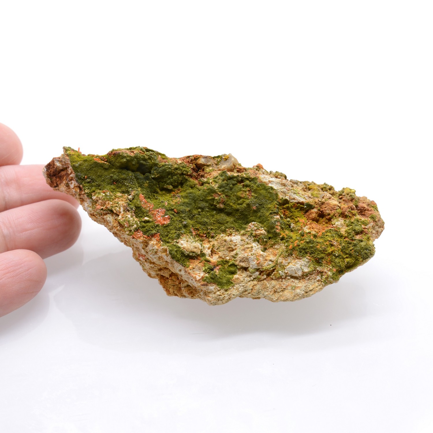 Pyromorphite and crocoite - Filon du cantonnier, Nontron, Dordogne, France