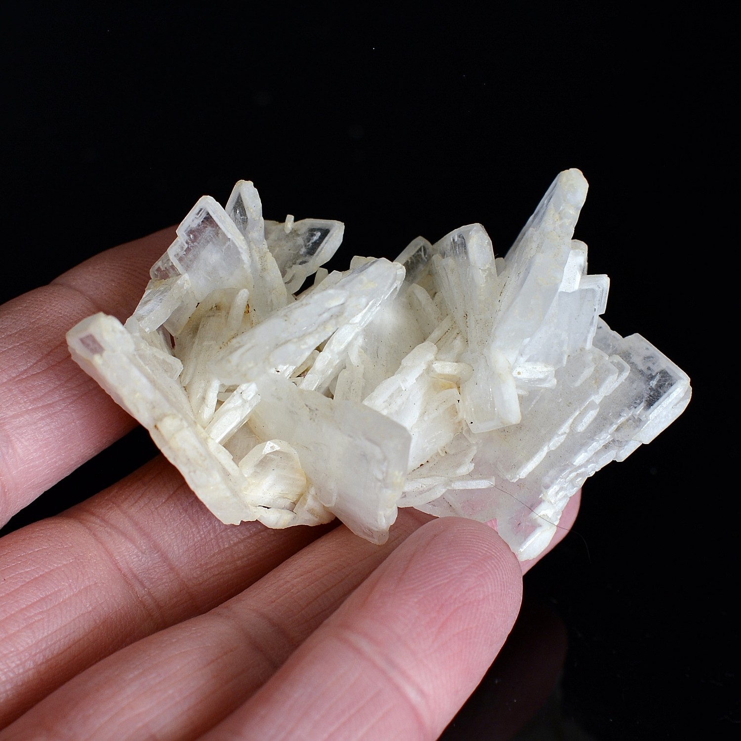 Barite - La Mûre, Isère, France