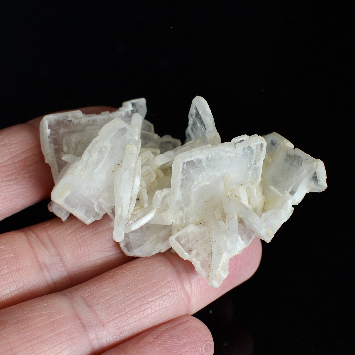 Barite - La Mûre, Isère, France