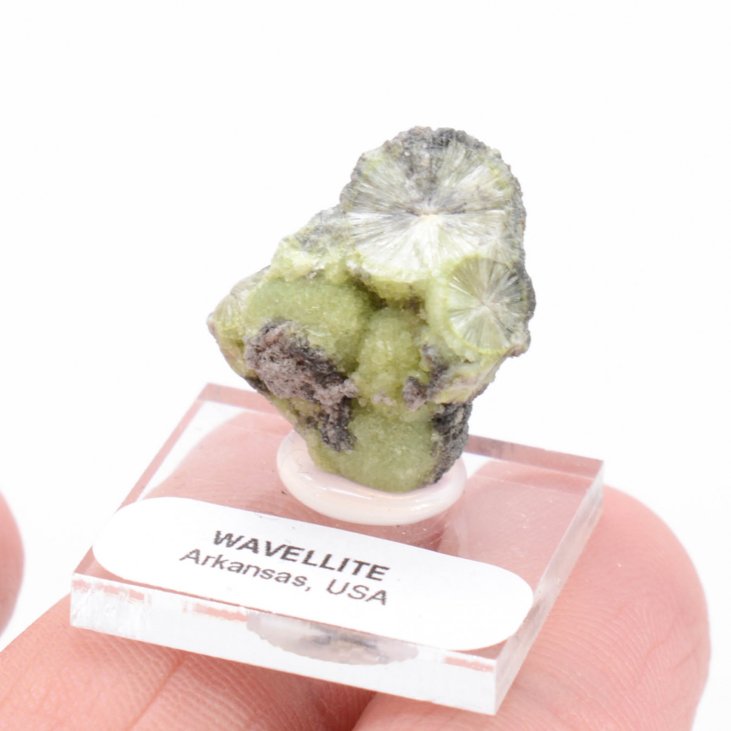 Wavellite - Mauldin, Arkansas, Etats-Unis