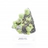 Wavellite - Mauldin, Arkansas, Etats-Unis