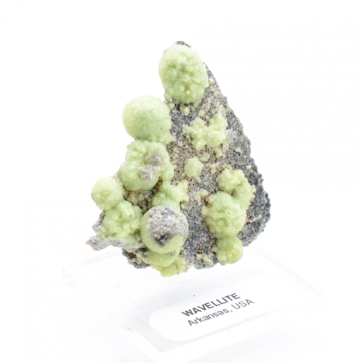 Wavellite - Mauldin, Arkansas, Etats-Unis