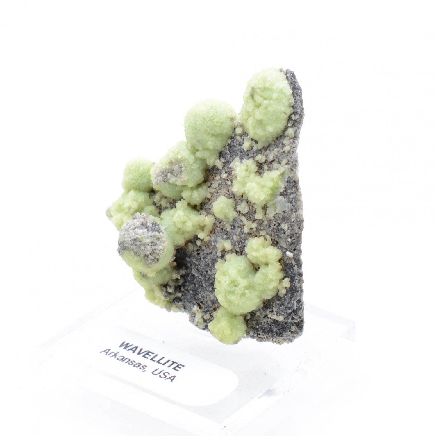 Wavellite - Mauldin, Arkansas, Etats-Unis