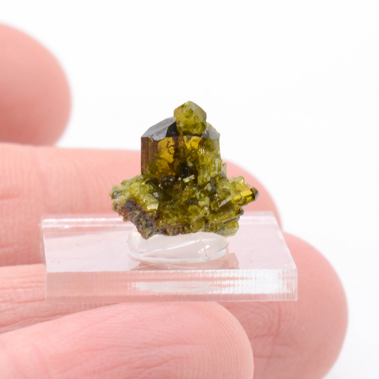 Epidote - Bellecombe, Châtillon, Aosta Valley, Italy