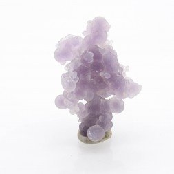 " Calcédoine grappe " - Mamuju, île Célèbes, Indonésie