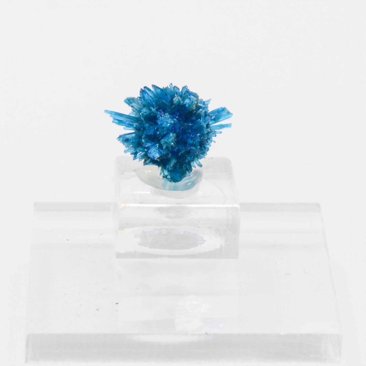 Cavansite - Carrières de Wagholi, district de Poona, Maharashtra, Inde