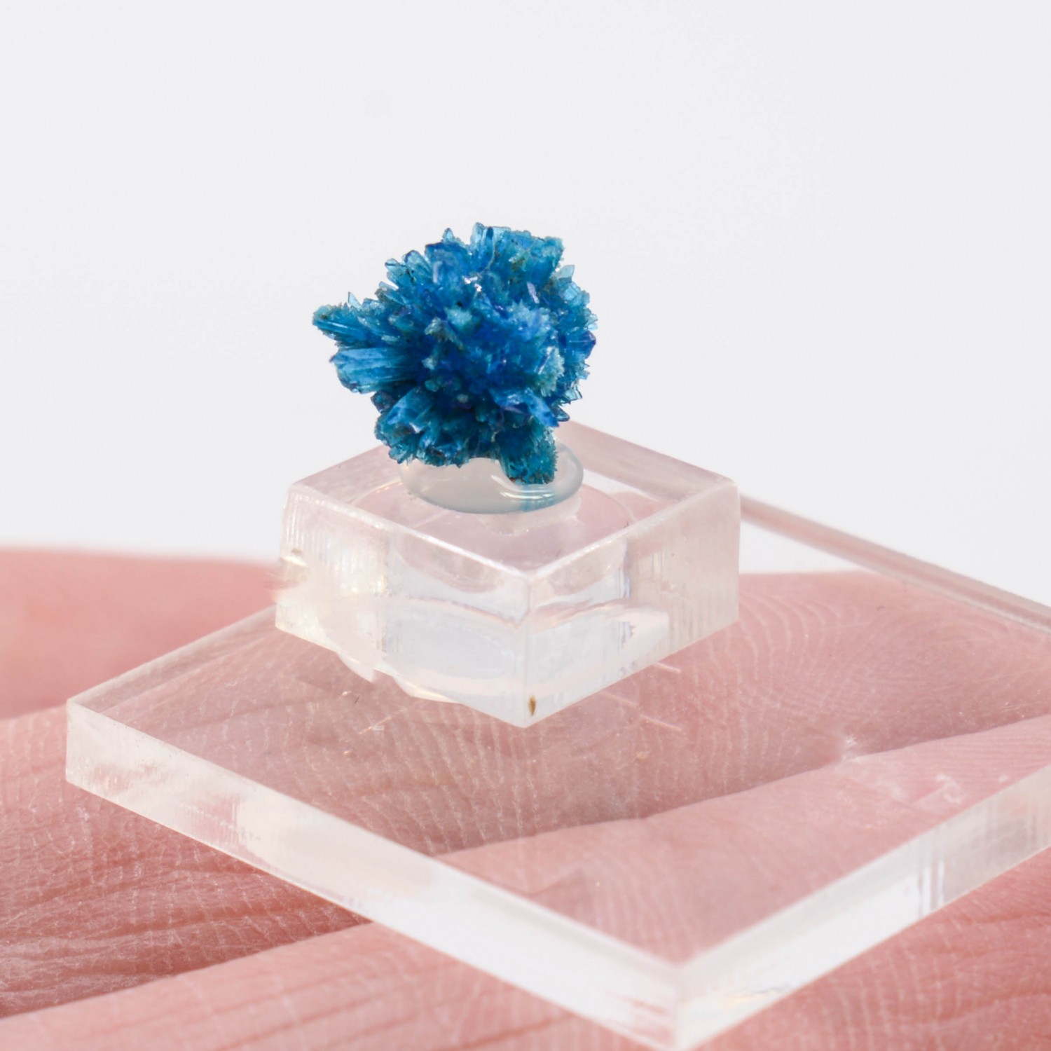 Cavansite - Carrières de Wagholi, district de Poona, Maharashtra, Inde