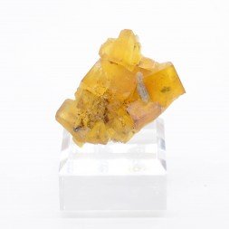 Fluorine - Le Piboul, Lozère, France