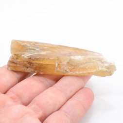 Gypsum - Monthyon, Seine-et-Marne, France