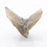 Gypsum  - Monthyon, Seine-et-Marne, France