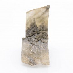 Gypsum  - Monthyon, Seine-et-Marne, France