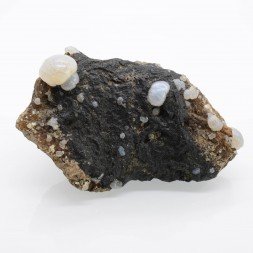 Lussatite sur bitume - Dallet, Puy-de-Dôme, France