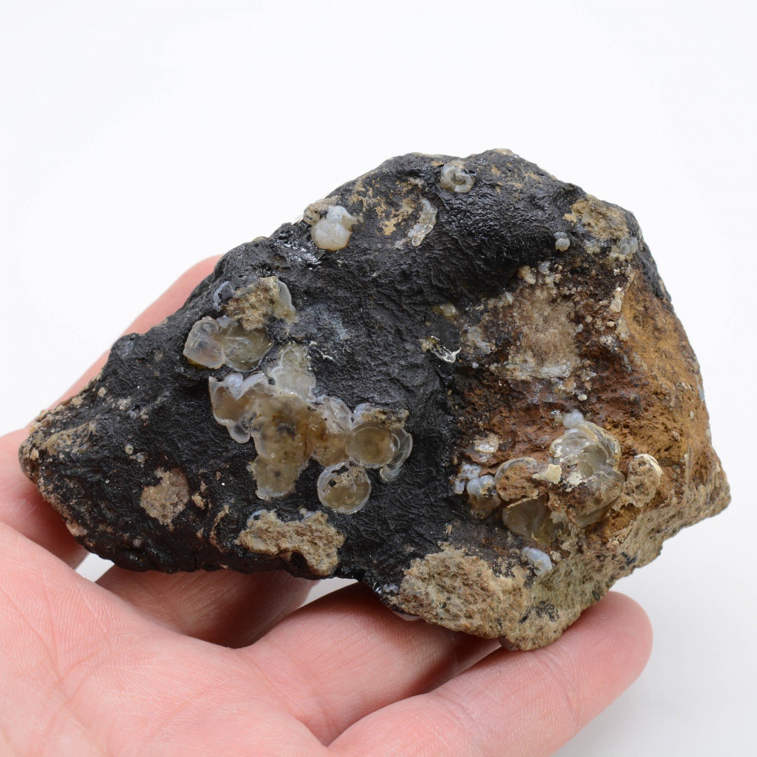 Lussatite on asphalt - Dallet, Puy-de-Dôme, France