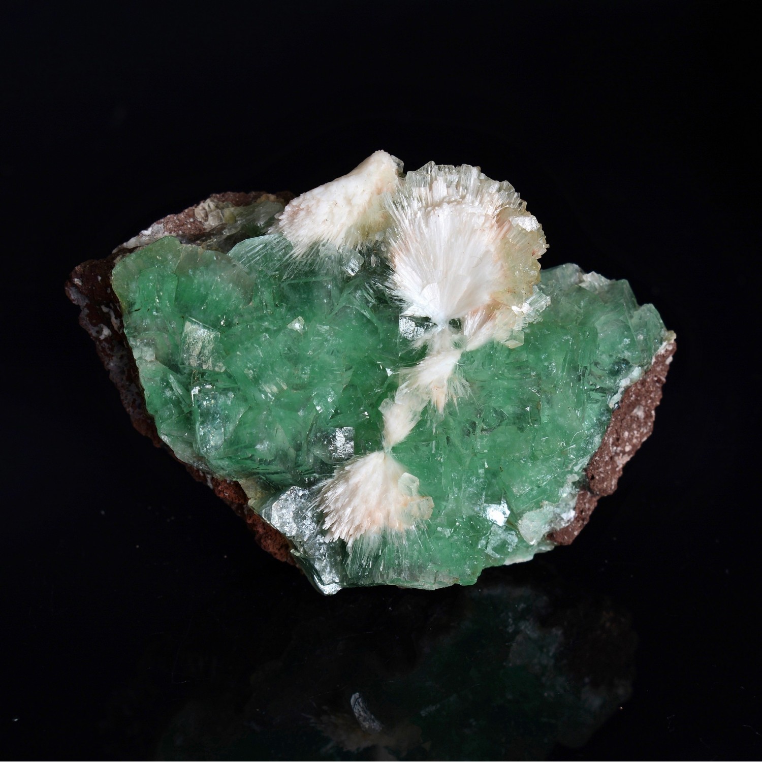 Apophyllite and mordenite - Nashik district, Maharashtra, India