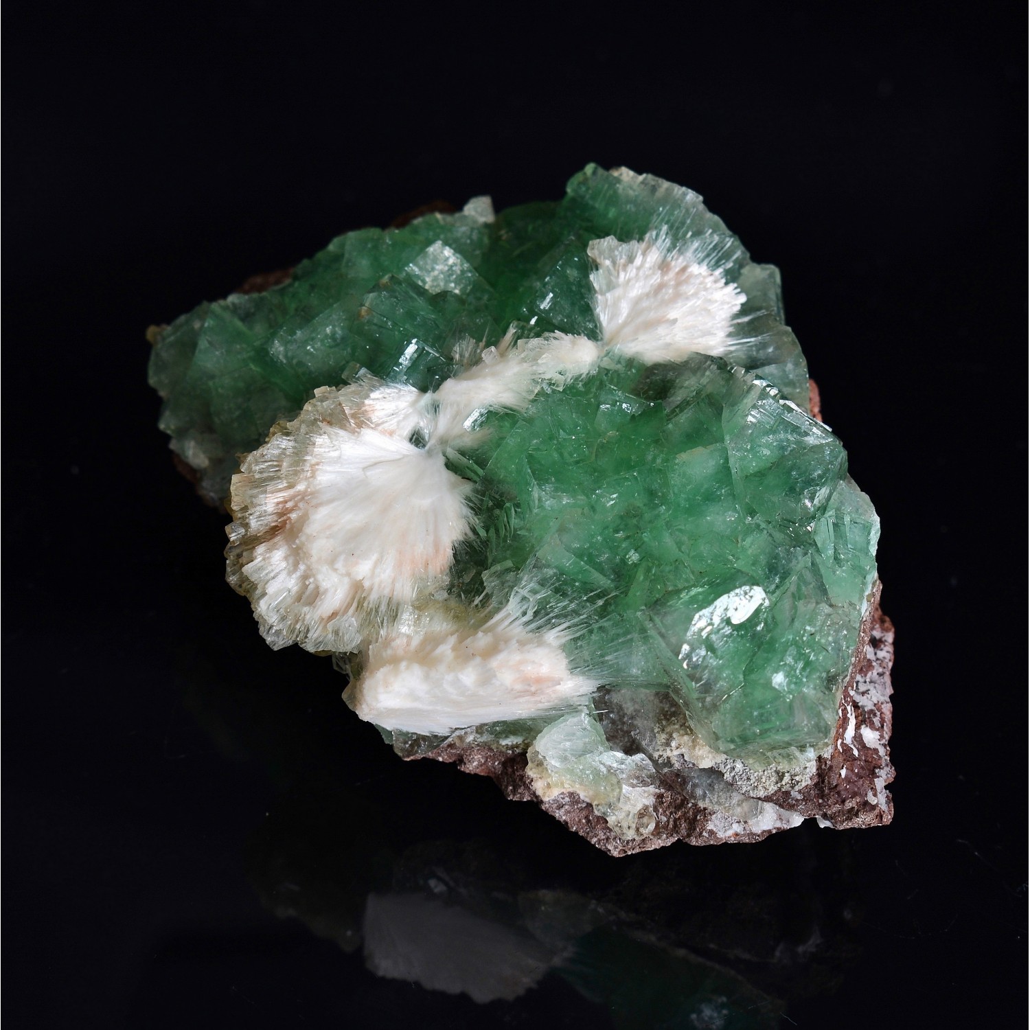 Apophyllite and mordenite - Nashik district, Maharashtra, India