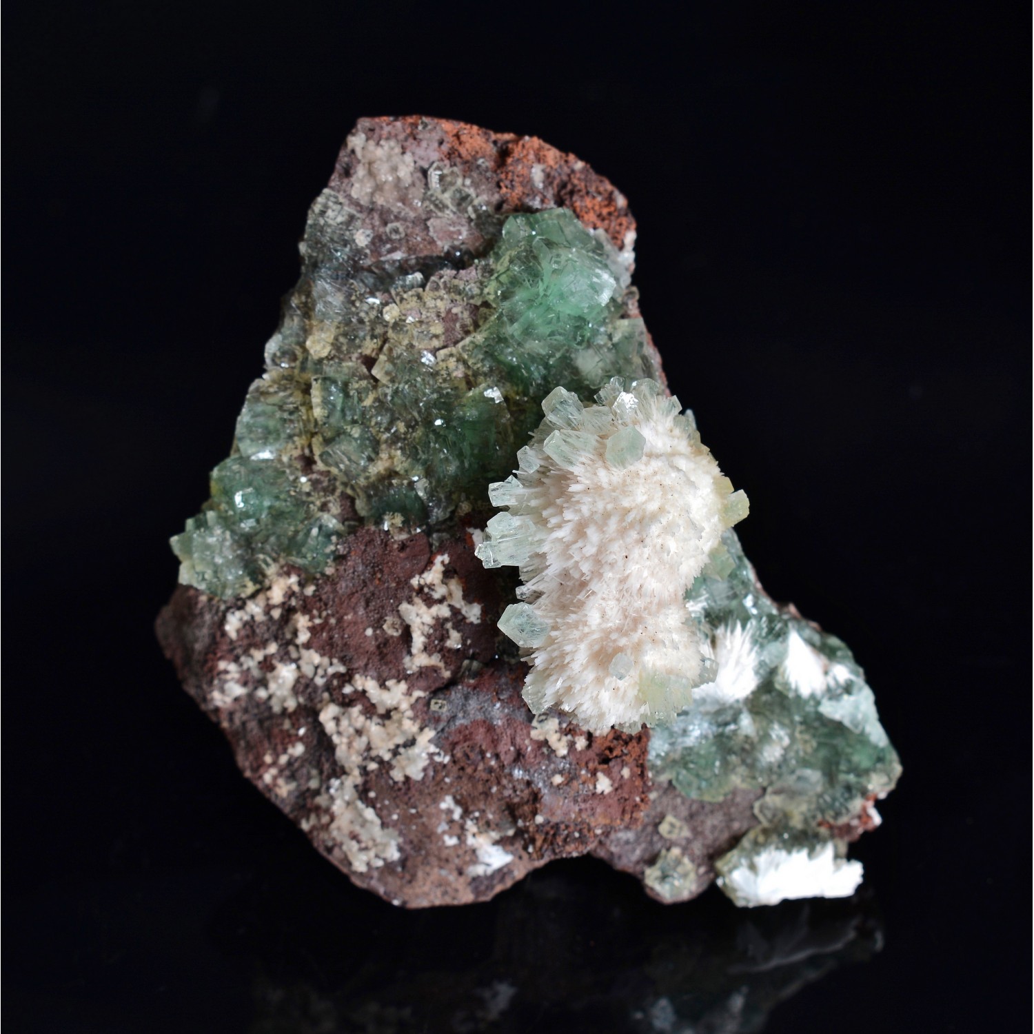 Apophyllite et mordénite - District de Nashik, Maharashtra, Inde