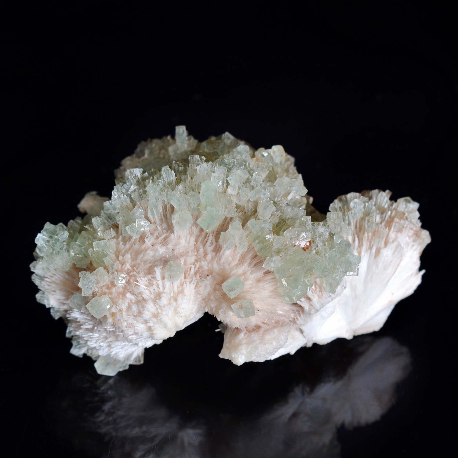 Apophyllite on mordenite - Nashik district, Maharashtra, India